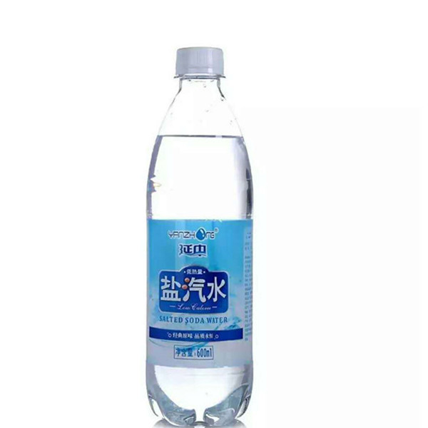 延中低热量盐汽水600ml*20瓶